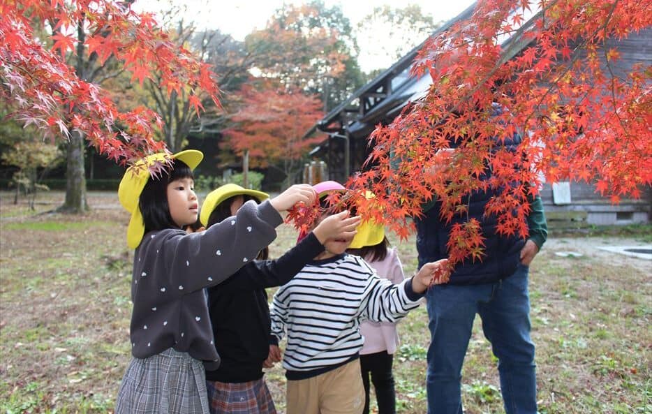 Autumn foliage,ヒルトップインターナショナルスクール,熊本インターナショナルスクール,熊本英語幼稚園,熊本英語保育園,Hilltop International School